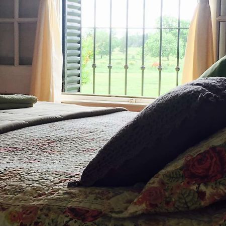 The Polo House Bed & Breakfast ปีลาร์ ภายนอก รูปภาพ