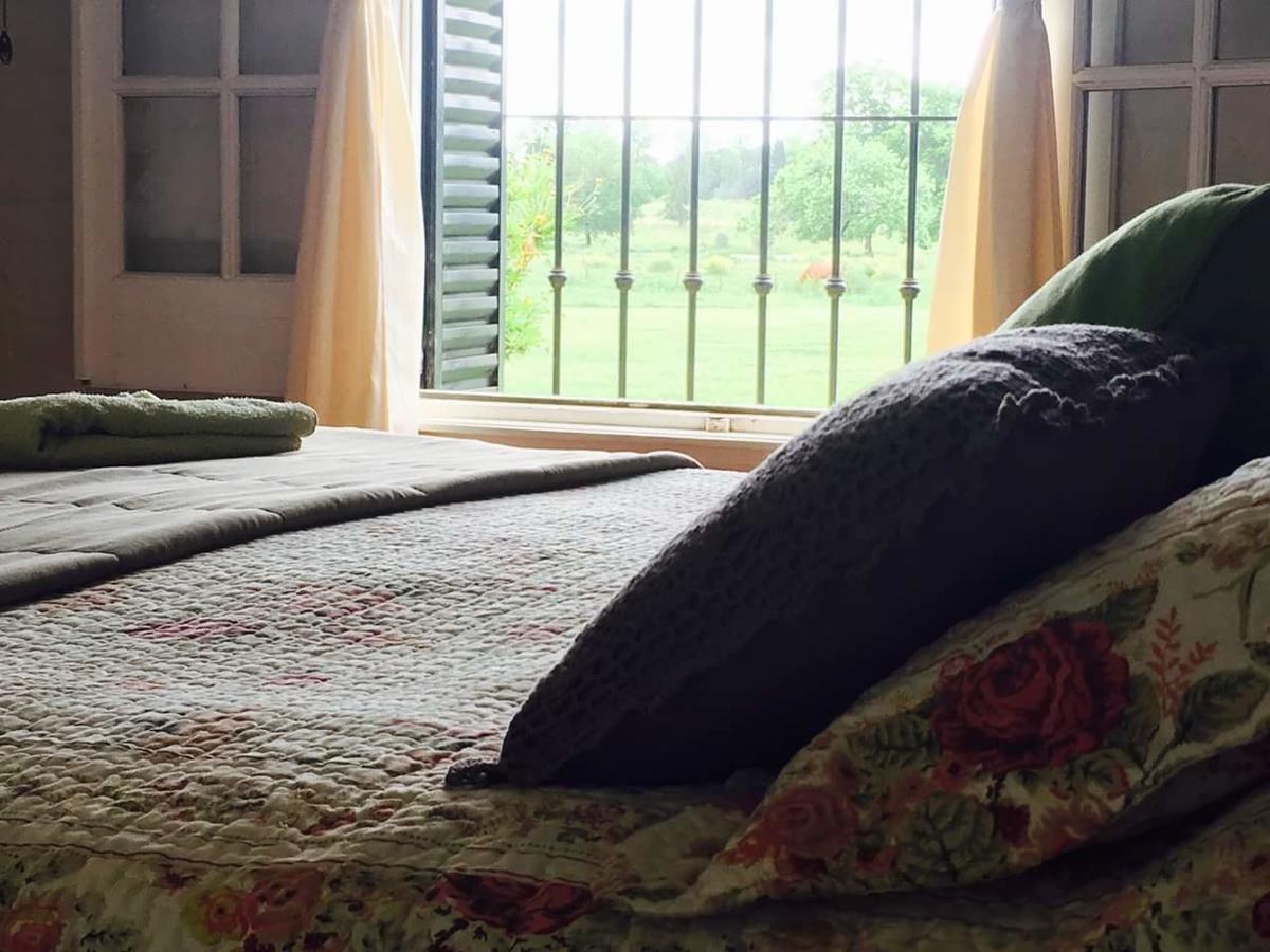 The Polo House Bed & Breakfast ปีลาร์ ภายนอก รูปภาพ